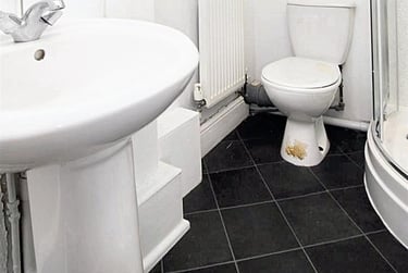 3 bed flat, 6 Lockyer Road,, Peverell, Plymouth, PL34RL - Image 5